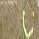 Download Snake Touch S60v5 S^3 Cell Phone Game